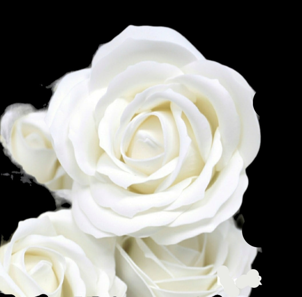 24 WHITE ROSE HEADS LARGE SIZE FLOWER Soap Bouquet Box