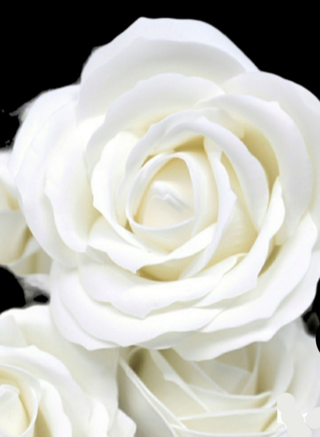 24 WHITE ROSE HEADS LARGE SIZE FLOWER Soap Bouquet Box