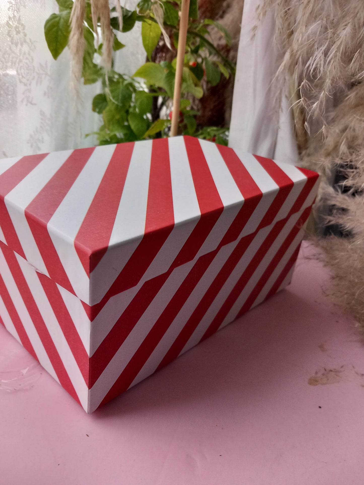 PURPLE MIX WHITE FLOWER SOAP IN CANDY CANE DISPLAY BOX